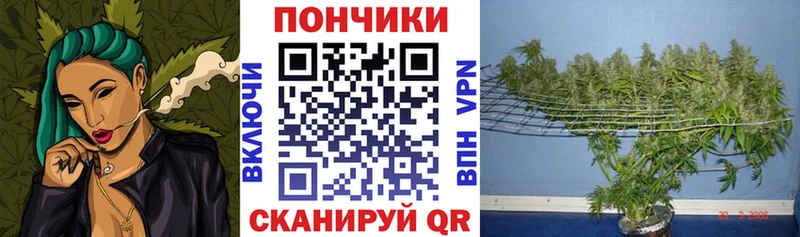 где продают наркотики  Бородино  Бошки Шишки White Widow 